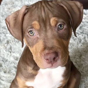 Meet your Posher, Justine